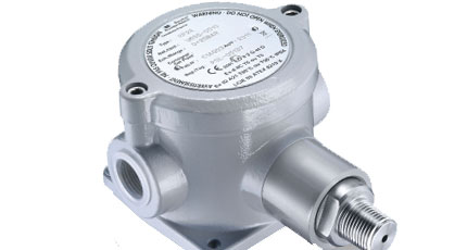 BAUMER BOURDON RP2E Compact Switch Intrinsic Safety
