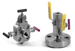 Block and Bleed Valves